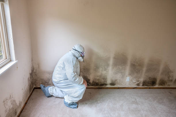 Water Damage Restoration in Clemmons, NC
