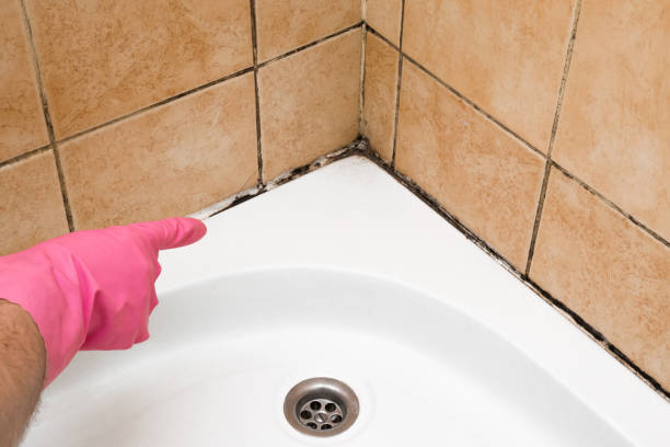 Mold Testing and Removal in Clemmons, NC